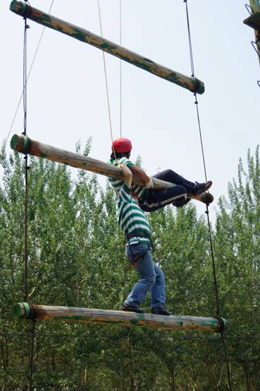 1467891204129889.jpg image036.jpg